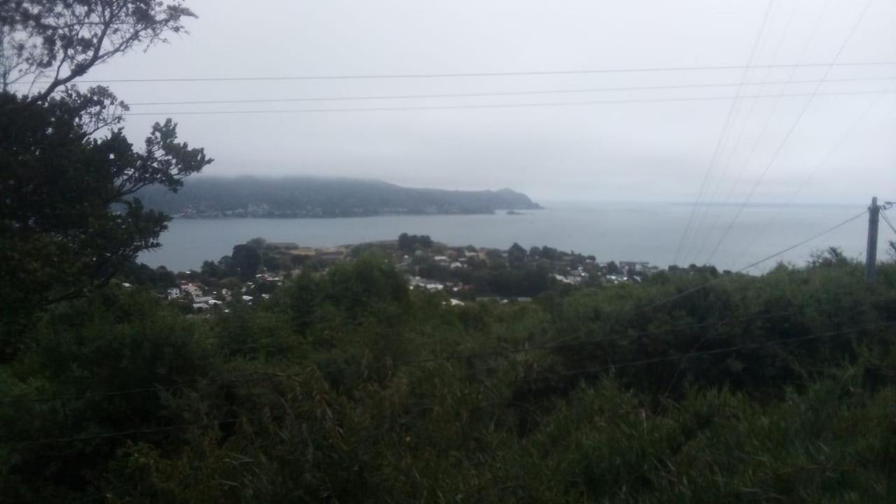 Alto Bellavista * Niebla